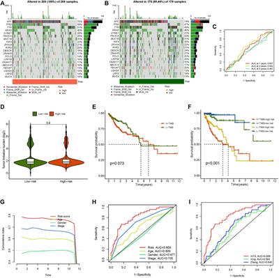 The m7G-Related Long Noncoding RNA Signature Predicts Prognosis and Indicates Tumour Immune Infiltration in Colon Cancer